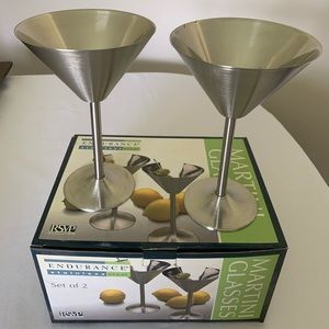 New RSVP Endurance Stainless Steel Martini Glasses- Set of 2.